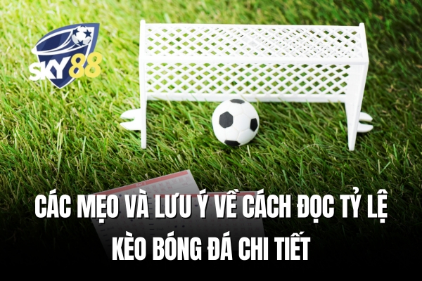Lưu ý về cách đọc tỷ lệ kèo bóng đá chi tiết