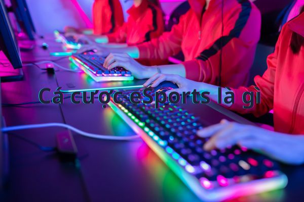 Cá cược eSports là gì