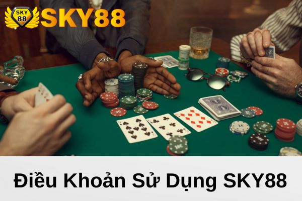 Điều khoản sử dụng SKY88
