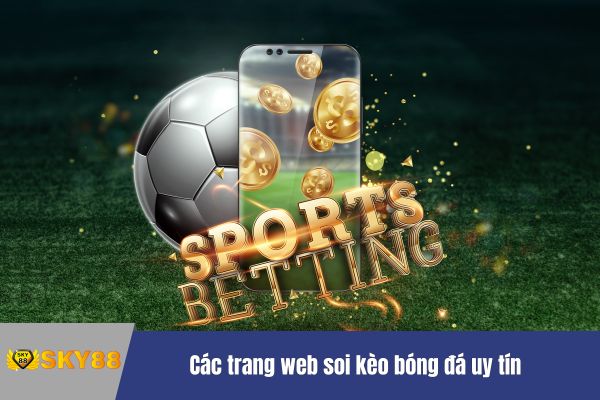 Cách đọc kèo bóng đá